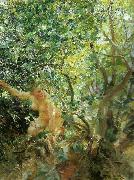 Anders Zorn skramd oil painting reproduction